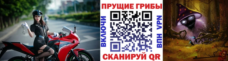 где продают наркотики  Мамоново  Псилоцибиновые грибы Psilocybine cubensis 