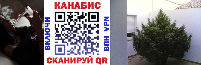 хочу   Мамоново  Шишки марихуана Ganja 